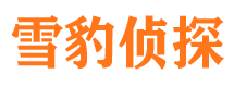 离石侦探公司